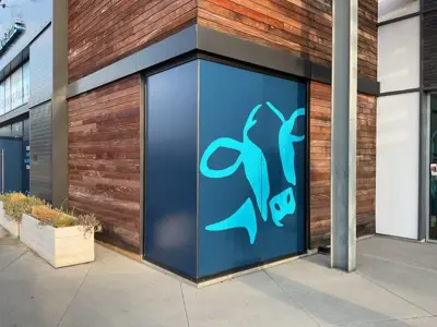 Window Graphics